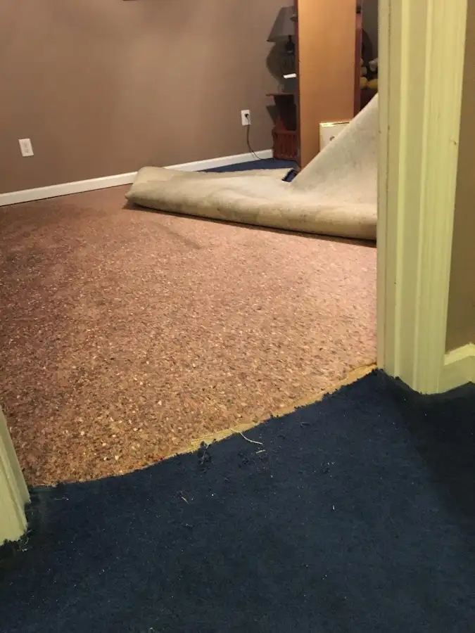 Carpet pad removal revealing water damage during Drying & Dehumidification in Woodfield