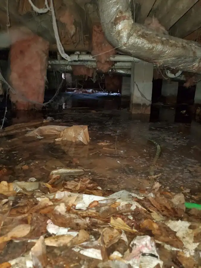 Crawl space flood assessment for Commercial Water Damage Restoration in Woodfield