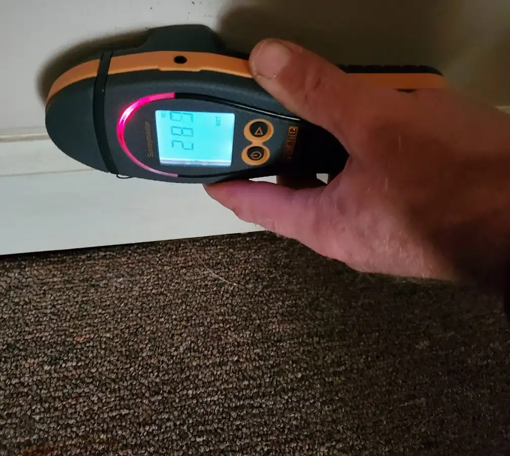 Moisture detection at baseboard during Mold Inspection & Testing in Woodfield